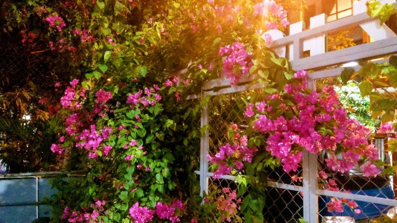Lapaz Homestay Da Nang Exteriör bild